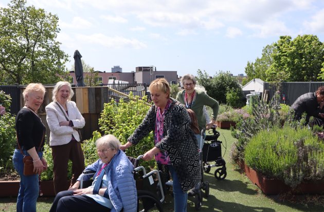 Ouderen op een groen dakterras