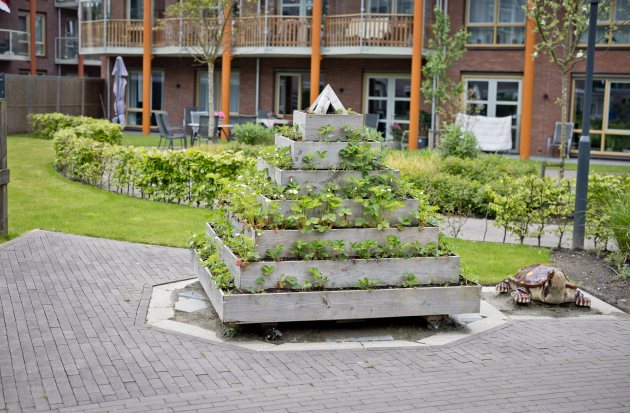 Gebouw met aardbeieneteelt