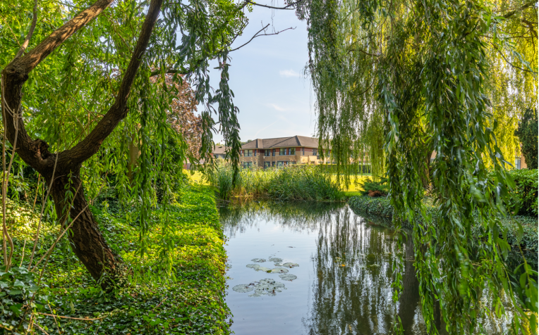 De Vijferhof in groene omgeving