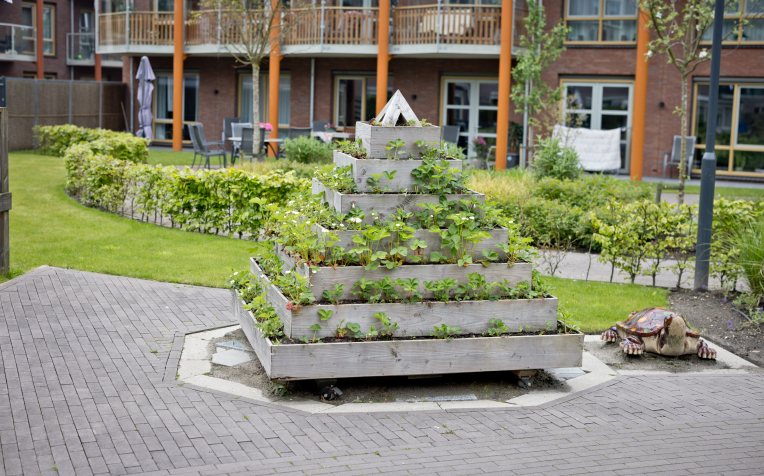 Gebouw met aardbeieneteelt