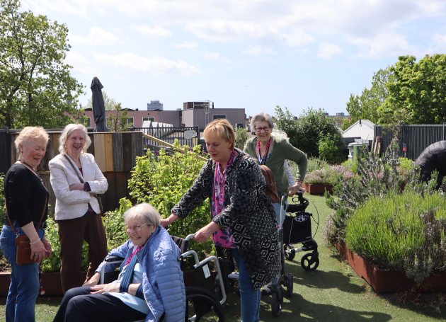 Ouderen op een groen dakterras