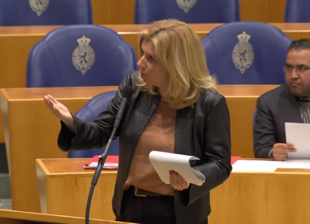 Kamerlid Liane den Haan (GOUD)