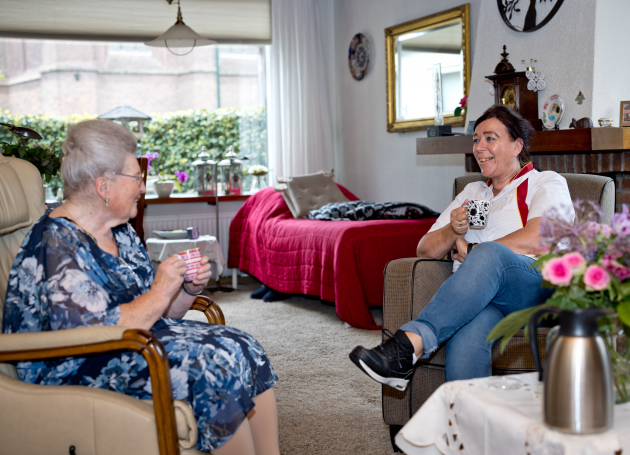 Huishoudelijke hulp sociaal contact 