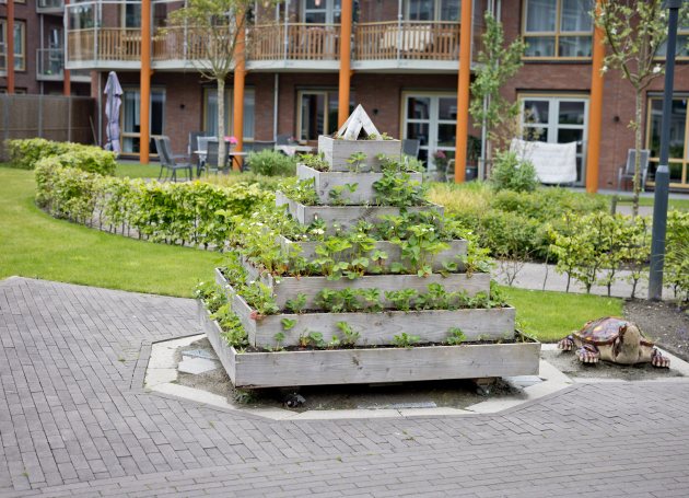 Gebouw met aardbeieneteelt