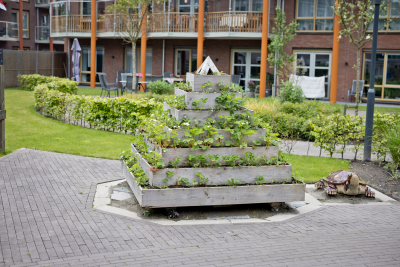 Gebouw met aardbeieneteelt